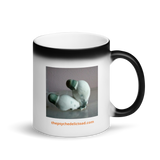 Kinda Psilly, Kinda Psexy Shroom Coffee or Tea Matte Black Magic Mug (6.95 Shipping Included)